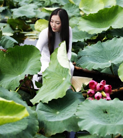 Á hậu Thùy Trang đẹp dịu dàng bên hoa sen 