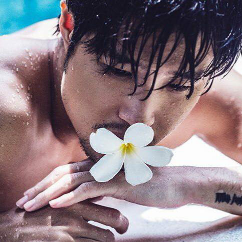 Nhìn lại hành trình Hồ Vĩnh Anh