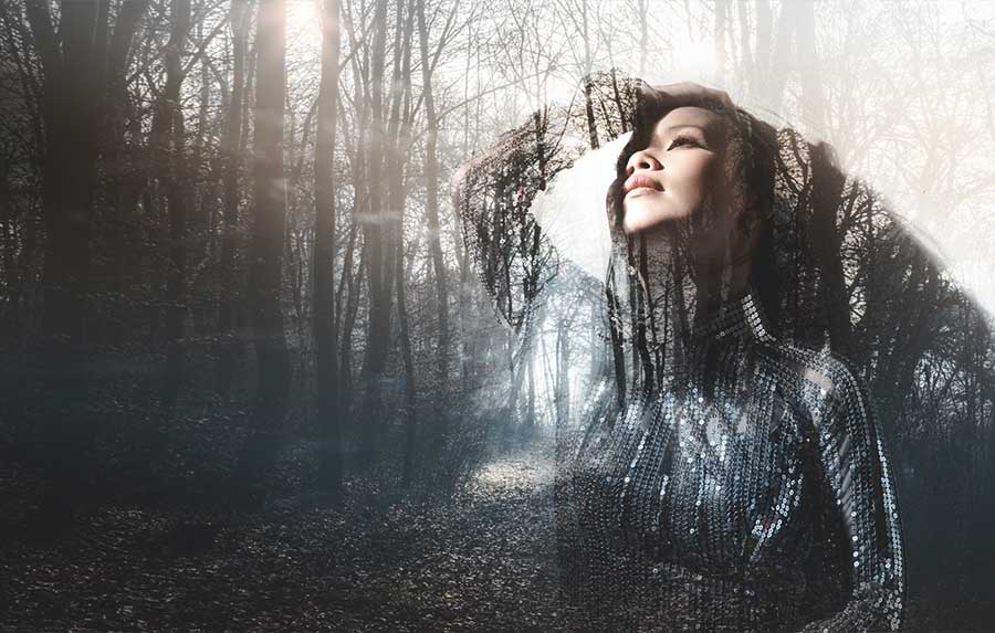 CD Hai Lối Mộng là sản phẩm âm nhạc được thực hiện trong gần 1 năm, từ khi Tự tình quê hương 5 được lên ý tưởng chính thức và diễn ra, đến nay, khán giả mới có thể cầm trên tay CD này