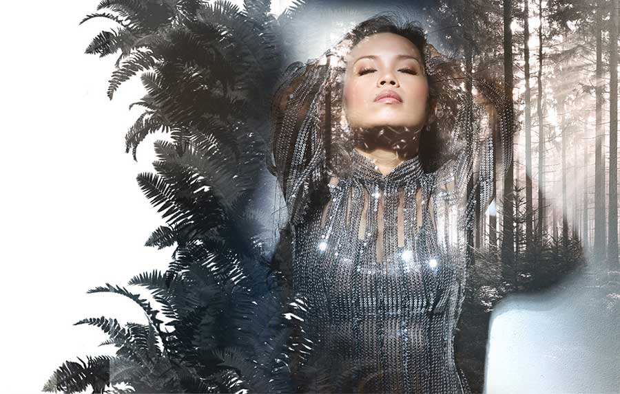 CD Hai Lối Mộng là sản phẩm âm nhạc được thực hiện trong gần 1 năm, từ khi Tự tình quê hương 5 được lên ý tưởng chính thức và diễn ra, đến nay, khán giả mới có thể cầm trên tay CD này